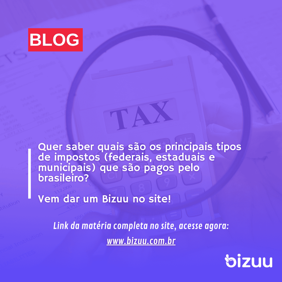 Quais são os principais tipos de impostos (federais, estaduais e municipais) que são pagos pelo brasileiro?
